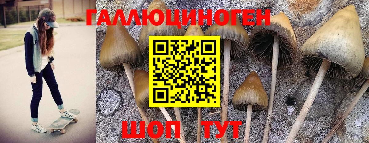 Якутск  Псилоцибиновые грибы MAGIC MUSHROOMS  Вход с VPN 